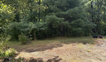 19 Easy Ave, Albany, NH 03818