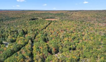 1342 N OLD STAGE Rd, Albrightsville, PA 18210