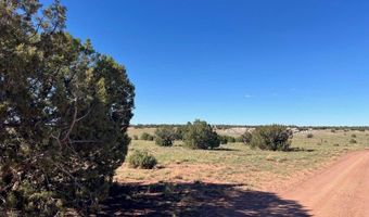004 N9027, Concho, AZ 85924