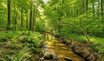 58 Acres Naples Ln, Arab, AL 35016