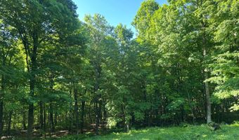 15597 BALD EAGLE Blvd, Alvin, WI 54542