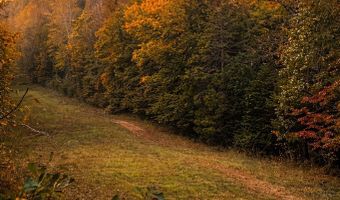 A 10.5 Acres 83 Three B Dr, Abbeville, SC 29260