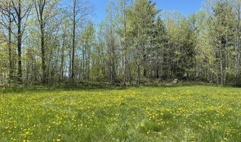 Forrest Road, Bridport, VT 05734