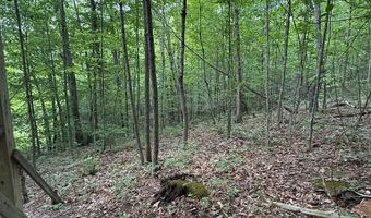 Fritz Run Rd, Ballard, WV 24918