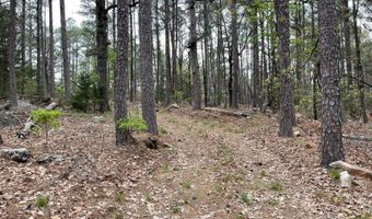 175626 Boulder Rd, Antlers, OK 74523