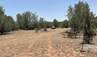 164 Rattlesnake Rd, Ash Fork, AZ 86320