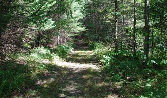 2782 River Rdg, Alger, MI 48610