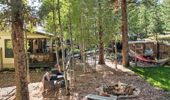 11982 Peak To Peak Dr, Allenspark, CO 80510