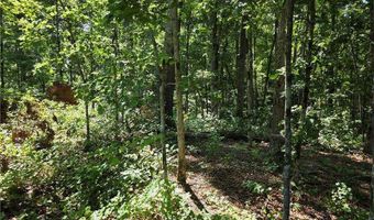 0 Byers, Ball Ground, GA 30107