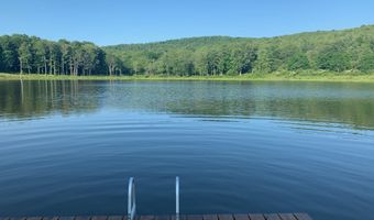 L21.1 Alder Pond Road, Andes, NY 13740