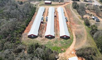 219 County Road 6628, Banks, AL 36005