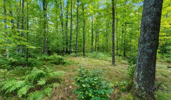 Double Bend Road, Argonne, WI 54511