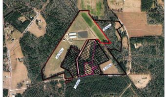 3848 Rooks Rd, Atkinson, NC 28421
