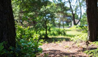 88675 WHITING Ln, Bandon, OR 97411