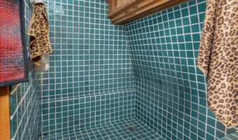309 Snowshoe Rd, Bear Valley, CA 95223