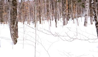 Markham Mountain Road, Andover, VT 05143