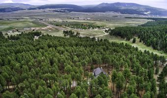21 Pam Coleman, Angel Fire, NM 87710