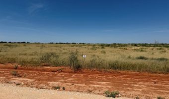 1155 SE 1620, Andrews, TX 79714