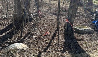Old Abbey Ln, Becket, MA 01223
