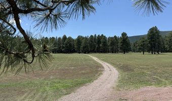 58 County Road N2122, Alpine, AZ 85920