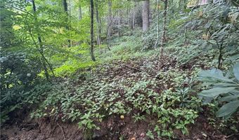 Tbd Clubhouse Drive, Banner Elk, NC 28604