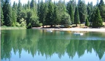 1984 Pine Cone Dr, Arnold, CA 95223