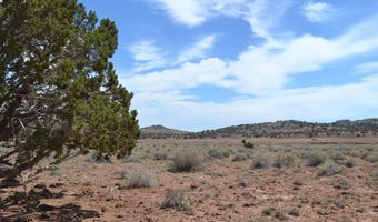 N8577 18, Concho, AZ 85924