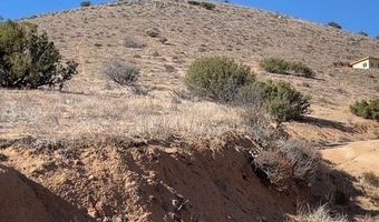 0 San Gabriel Ave, Acton, CA 93510