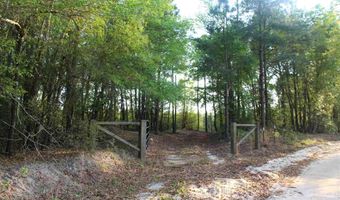 14 5 Acre Hwy. 41, Marion, SC 29571