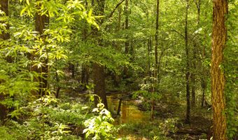 Beech Bluff Road, Beech Bluff, TN 38313
