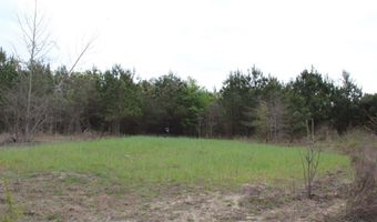 95 Herman Bell Rd, Mauk, GA 31058