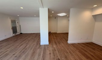 601 E Hopkins Ave 202, Aspen, CO 81611