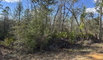 Monogahela Avenue, Alford, FL 32420