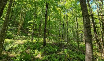 150 Spur Rd, Bloomfield, VT 05905