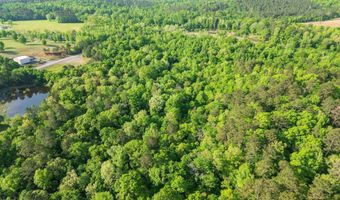 22 62 Acres Hwy 84, Amity, AR 71921