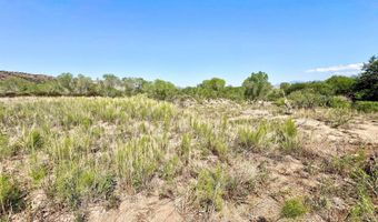 20 RT Dr, Buckhorn, NM 88025