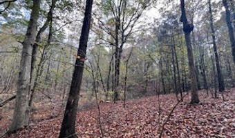 Perry Chapel Road, Ashland, MS 38603