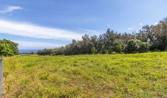 54-2378 KYNNERSLEY Rd, Kapaau, HI 96755