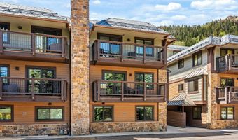 650 S Monarch Street 7, Aspen, CO 81611