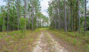 0 Piney Blf, Baxley, GA 31513