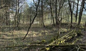 5 Acres Hwy 415, Albany, KY 42602