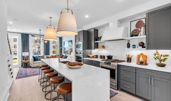 1605 Kingsley St 4, Asbury Park, NJ 07712