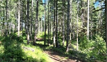 Tunnel Tract Parcel3, Banks, OR 97106
