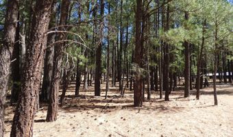 8 B County Road 2267 Escudilla Rd, Alpine, AZ 85920