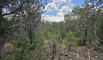 3221 Elk Springs Dr, Glenwood Springs, CO 81601