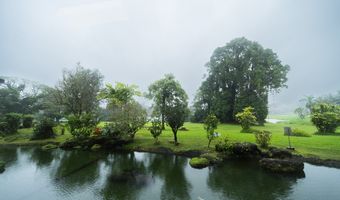 101 AUPUNI St 158, Hilo, HI 96720