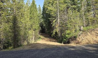23 Sawtooth Loop, Cascade, ID 83611