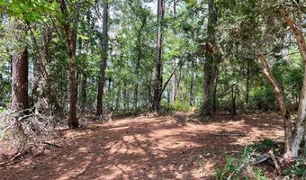 8 SC-215 S, Blair, SC 29015