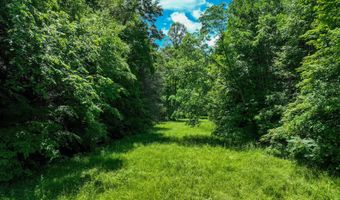 24483 Cave Creek Rd, Abingdon, VA 24211