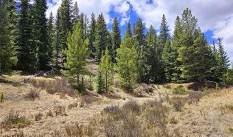 PCS # 10594 Looney Lane lot 0, Alma, CO 80420